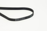 CONTINENTAL CTAM 6PK1590 Soonrihm