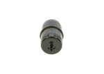 BOSCH 0450905985 K&uuml;tusefilter