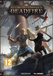 Pillars of Eternity 2: Deadfire (PC)