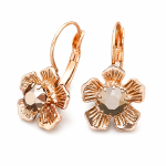 K&otilde;rvar&otilde;ngad &bdquo;Colorful Splendor (Rose Gold)&ldquo; Swarovski&reg; kristallidega