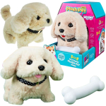Woopie Interaktiivne pehme koer, bichon kuldne retriiver