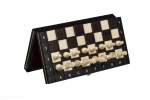 Male Magnetic School Chess