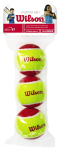 WILSON STARTER RED BALLS Tennise pallid, 3 tk.