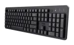 Trust Ody II klaviatuur kontorisse RF-juhtmevaba QWERTY USA inglise must