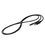 EIZO CP200-BK DisplayPort kaabel 2 m USB USB-C must