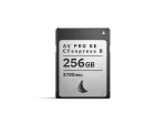 Angelbird AV PRO SE CFexpress Type B 256GB m&auml;lukaart