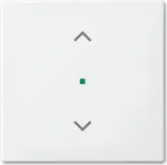 Busch-Jaeger 2CKA006220A0357 katteplaat andurihoidikule ja -pesale valge (2CKA006220A0357)