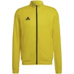 adidas Entrada 22 Dressijakk Kollane HI2134 S