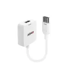 Lindy 38146 HDMI-DisplayPort muundur, 4K 3840x2160 30 Hz