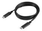 Lenovo - USB-kaabel - 24-kontaktiline USB-C (M) kuni 24-kontaktiline USB-C (M) - 1,0 m - ThinkPad USB-C Dock Gen 2 jaoks (W125691048)