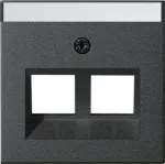 Gira System 55 kateplaadiga modulaarse pesa jaoks 30&deg; 2-kohaline antratsiit 264028