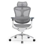 Sihoo DORO C300 Pro ergonoomiline v&otilde;rkmaterjalist kontoritool valge