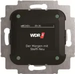 Busch-Jaeger Busch-Radio DAB+ 8215 U-101 (2CKA008200A0275)