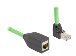 DeLOCK v&otilde;rgukaabel RJ45 Cat.6A pistik &uuml;lesnurga all pesasse 2 m roheline
