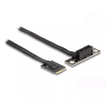 DeLOCK M.2 Key A+E to PCIe x1 NVMe adapter nurga all 20 cm kaabel