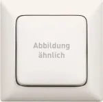 Seinaplaat Legrand 776217 Valge Termoplastne Kruvivaba