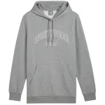 PUMA Essentials+ Logo LAB Gradient Hoodie FL Grey meeste fliisist pullover, suurus L