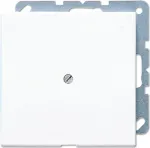 Jung LS 990 A WW pistikupesa valge (LS990AWW)