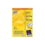 Avery - mitmeotstarbelised sildid - Valge - 105 x 74 mm - 800 silt(i) (100 lehte x 8) - (3427)