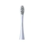 OCLEAN Professional Clean Brush Head P1C9 Silver 2pcs