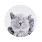 iLike universaalne pop-hoidik Cat