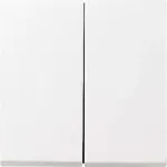 Gira 029503 valge