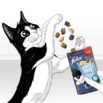 FELIX Party Mix Dairy Delight maius kassidele, 60 g