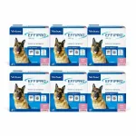VIRBAC paikne pihustuslahus Effipro koertele ja kassidele 100 ml