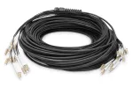 Breakout kaabel Digitus DK-2433CU030BK-BBB 30m OM4 12 Fibers LC/UPC