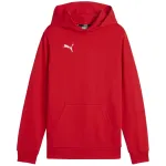 Puma Team Goal Casuals kapuutsiga dressipluus punane 658619 01 152cm