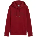 PUMA meeste Essentials+ Logo LAB dressipluus FL Burgundia suurus L
