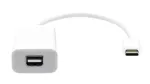 USB-C &ndash; Mini DisplayPort kaabel ProXtend USBC-MINIDP-0002W, 20 cm, valge