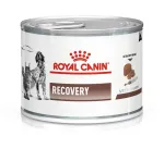 Royal Canin Recovery m&auml;rgtoit koertele ja kassidele, 195 g