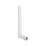 Ringkiirgav antenn DeLOCK 12006 2 dBi RP-SMA