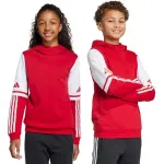 Laste pusa adidas Squadra 25 Sweat Hoody punane JD4805 128cm