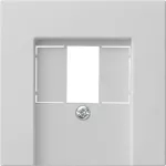 Gira System 55 kateplaadid TAE ja USB jaoks, hall 0276015