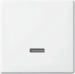 Busch-Jaeger 6543-914-102 Katteplaat anduri hoidjale ja -pesale, valge (2CKA006599A3018)