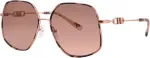Michael Kors naiste p&auml;ikeseprillid MK1127J110813 - Kilpkonnamustriga atsetaatraam, pruun gradientl&auml;&auml;ts, 59 mm