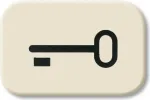 BUSCH-JAEGER Taster Symbol Key Wippe 2520 2525TR Duro 2000 SI 2525TR (1433-0-0440)