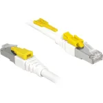 V&otilde;rgukaabel DeLOCK 85330 RJ-45 Cat6a 0,5 m valge