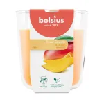 BOLSIUS True Scents Mango l&otilde;hnav k&uuml;&uuml;nal klaaspurgis, &Oslash;97x85 mm