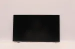 LCD-monitor Lenovo 15,6-tolline WXGA mudel 5D10W35432, eraldusv&otilde;ime 1366&times;768