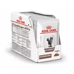 M&auml;rg kassitoit Royal Canin Gastrointestinal 85 g kotike &mdash; liha, 12 x 85 g, t&auml;iskasvanud kassid, seedeprobleemide korral