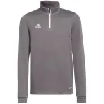 adidas Entrada 22 treeningpluus lastele, hall, 152 cm H57549
