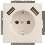 Busch-Jaeger SCHUKO-2x USB pistikupesa 20 EUCB2USB-84 (2CKA002011A6273)