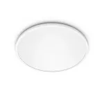 Philips Functional &uuml;li&otilde;huke laevalgusti 18 W, LED, vahetamatud pirnid, 2700 K, 1500 lm, IP20, valge