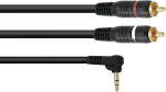 Adapterkaabel Omnitronic 3,5 mm nurga all pistik 2x RCA-le, 3 m pikkus, mudel 30225012