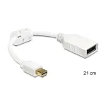 DisplayPort kaabel DeLOCK 65427 Mini DisplayPort 0,21 m Valge
