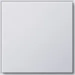 Gira 026866 valge