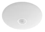 Laelamp Philips Functional Mauve 6 W LED, &uuml;mmargune 250&times;72 mm, valge, fikseeritud integreeritud pirn